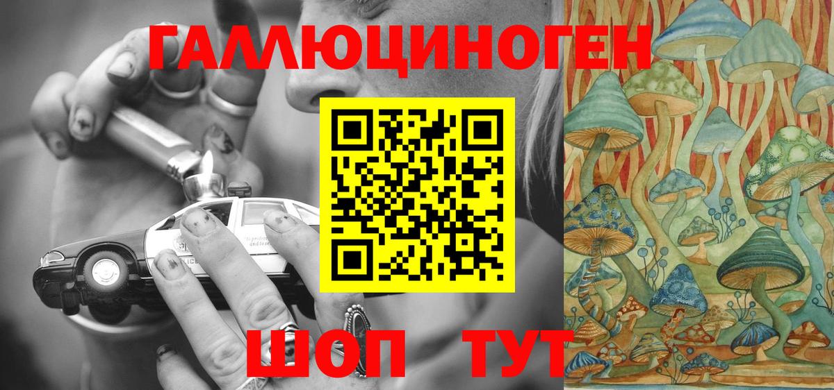 Псилоцибиновые грибы Psilocybine cubensis  Вход с VPN  купить наркоту  Донской  Псилоцибиновые грибы ЛСД 